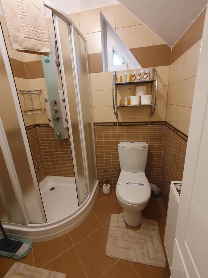 Smiley Apartment Sibiu Ngoại thất bức ảnh