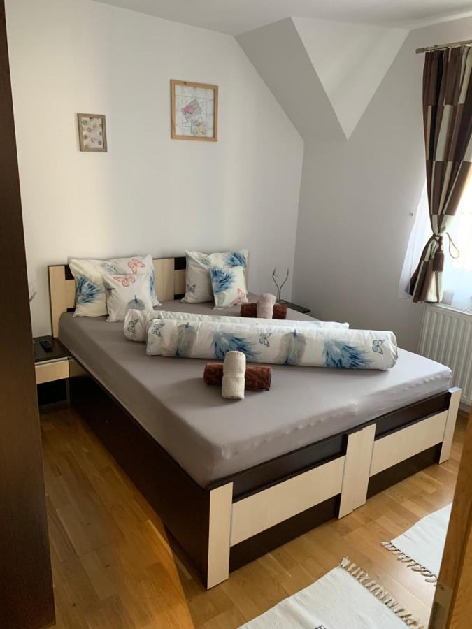 Smiley Apartment Sibiu Ngoại thất bức ảnh